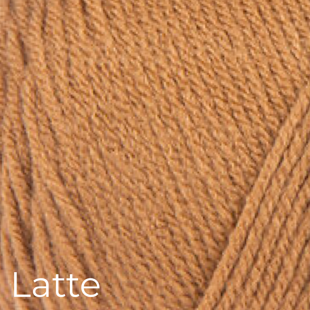 Graduation Cap & Diploma - Dinosaur Accessories