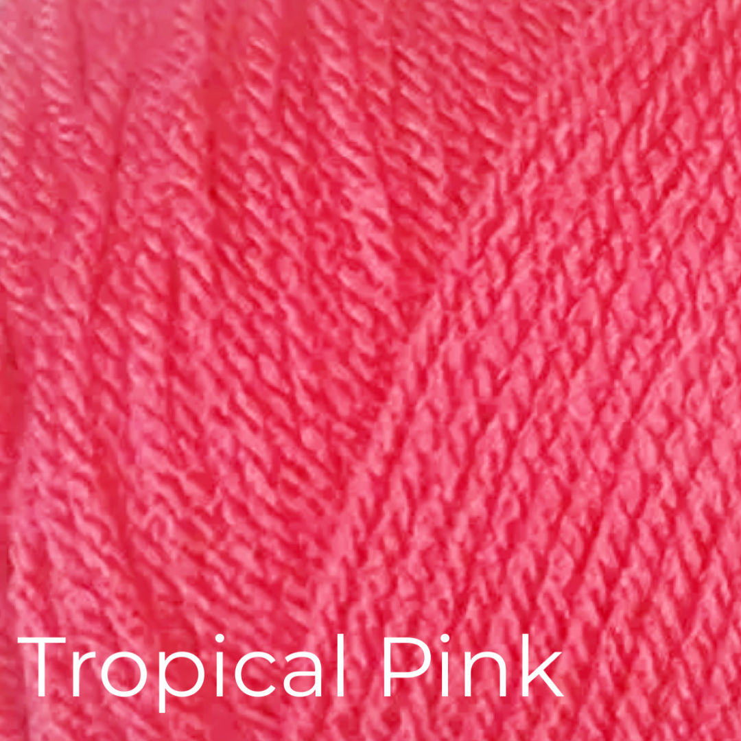 Graduation Cap & Diploma - Dinosaur Accessories