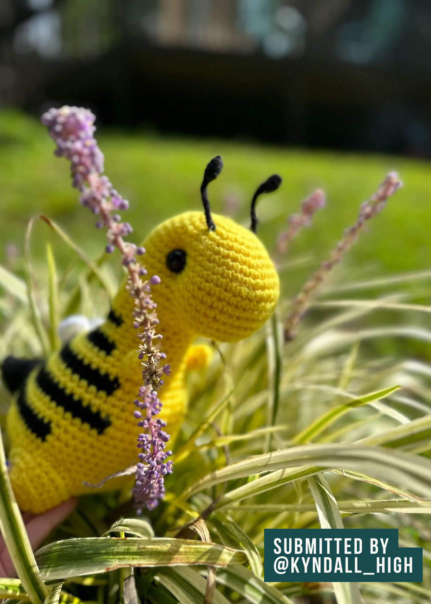 Sting the Bumblebee - Chubby Dinosaur
