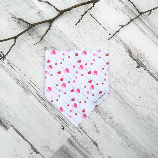 Falling in Love  - Slip On Pet Bandana