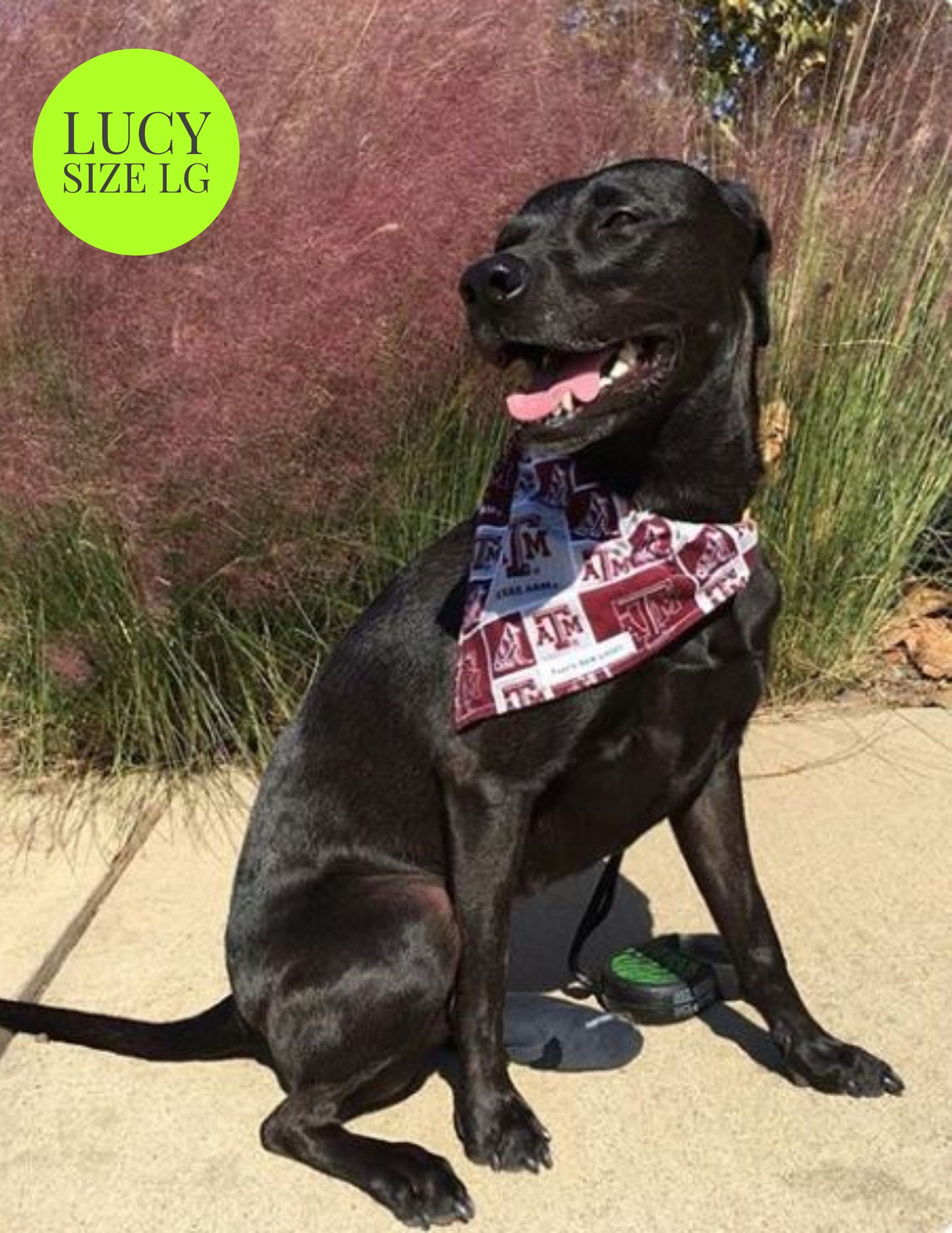 Woodland Owls - Slip On Pet Bandana