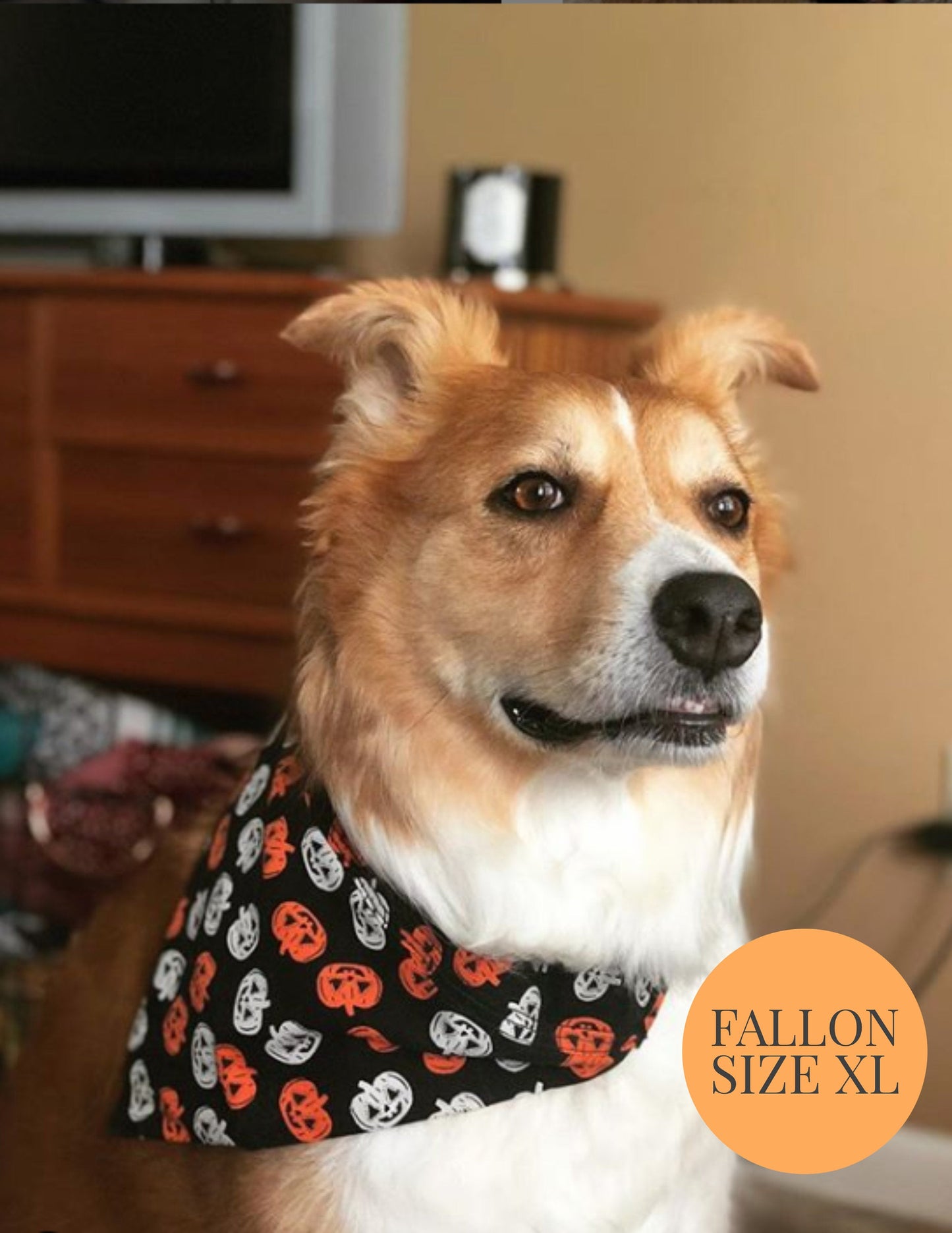 Watermelon Slices - Slip On Pet Bandana