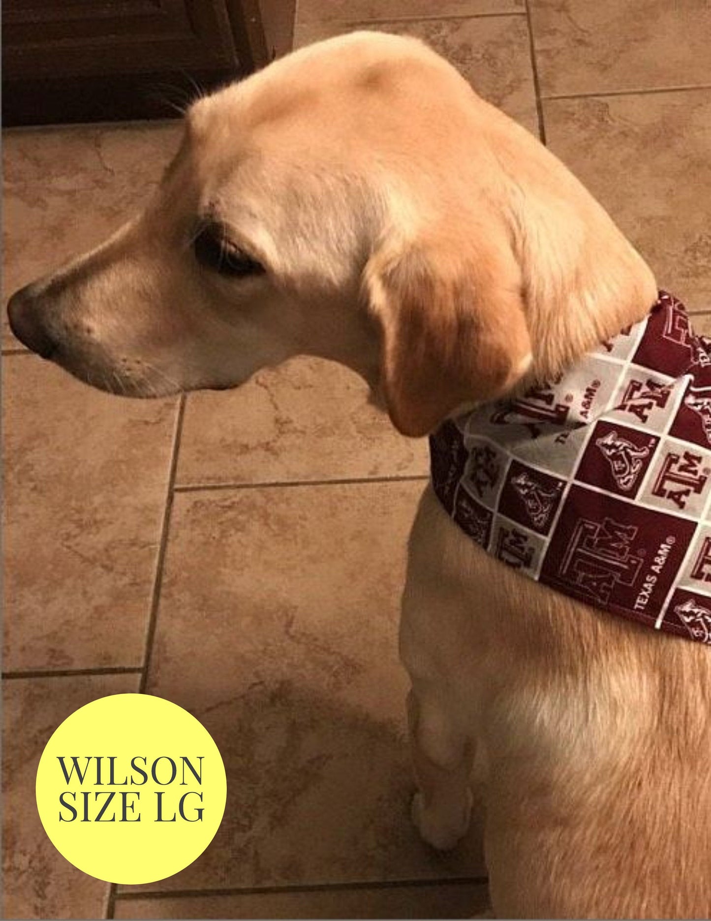 Watercolor Birds - Slip On Pet Bandana