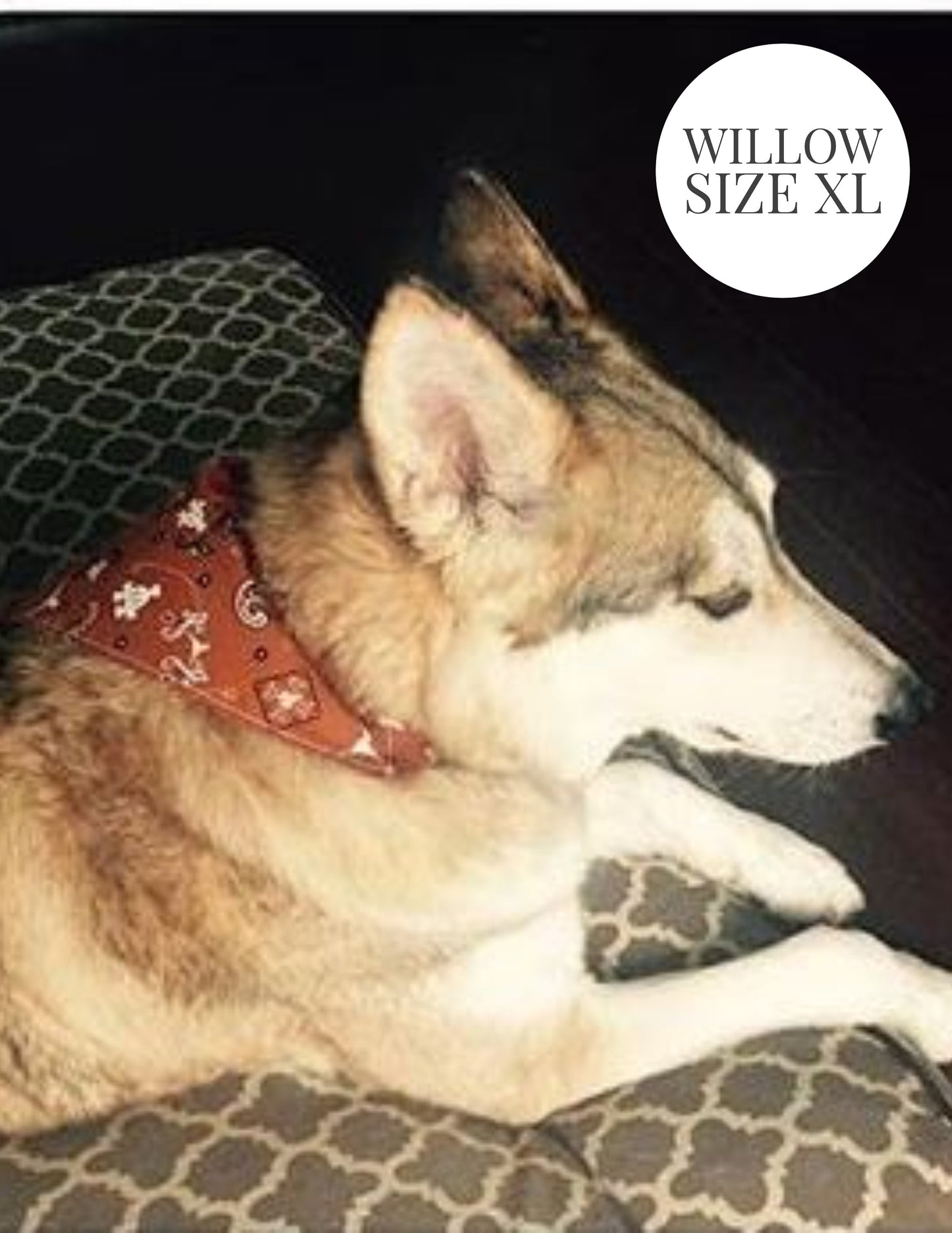 Green Polka Dots - Slip On Pet Bandana