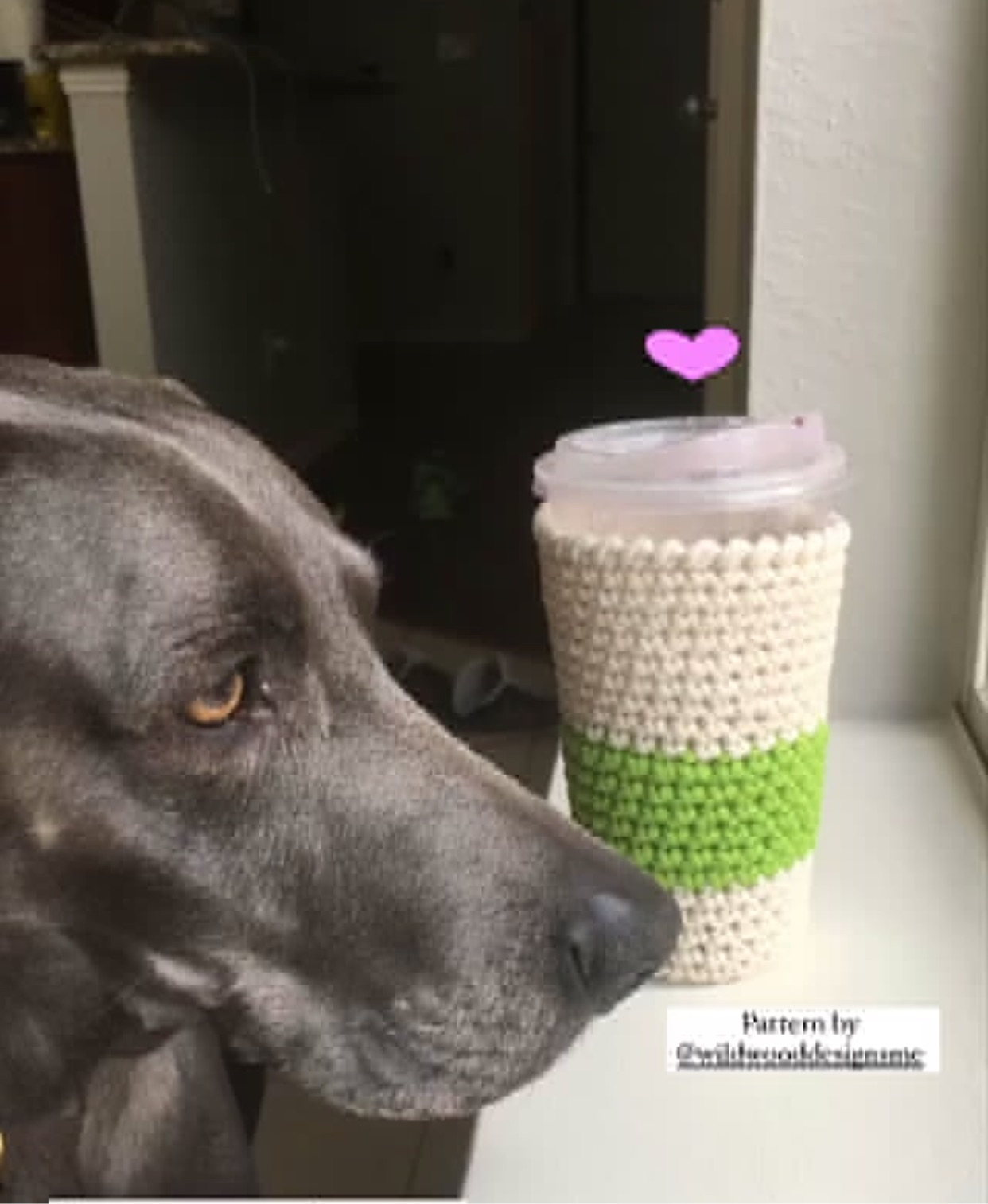 Cream & Green - Hot and Cold Cup Cozy