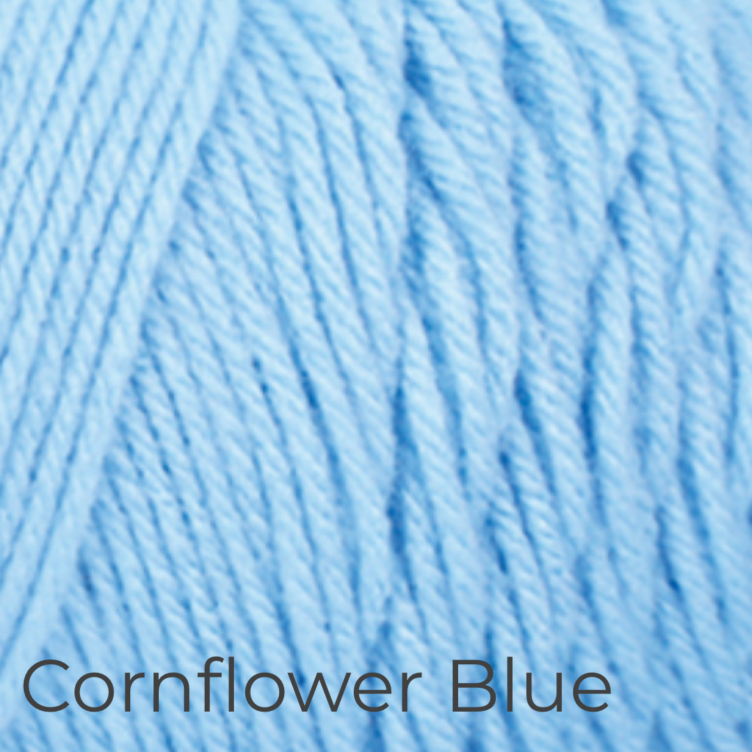 Graduation Cap & Diploma - Dinosaur Accessories