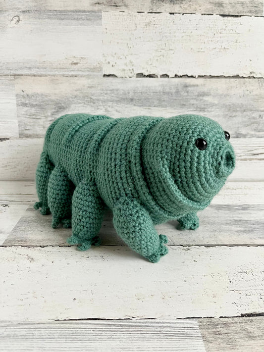 Water Bear (Tardigrade)