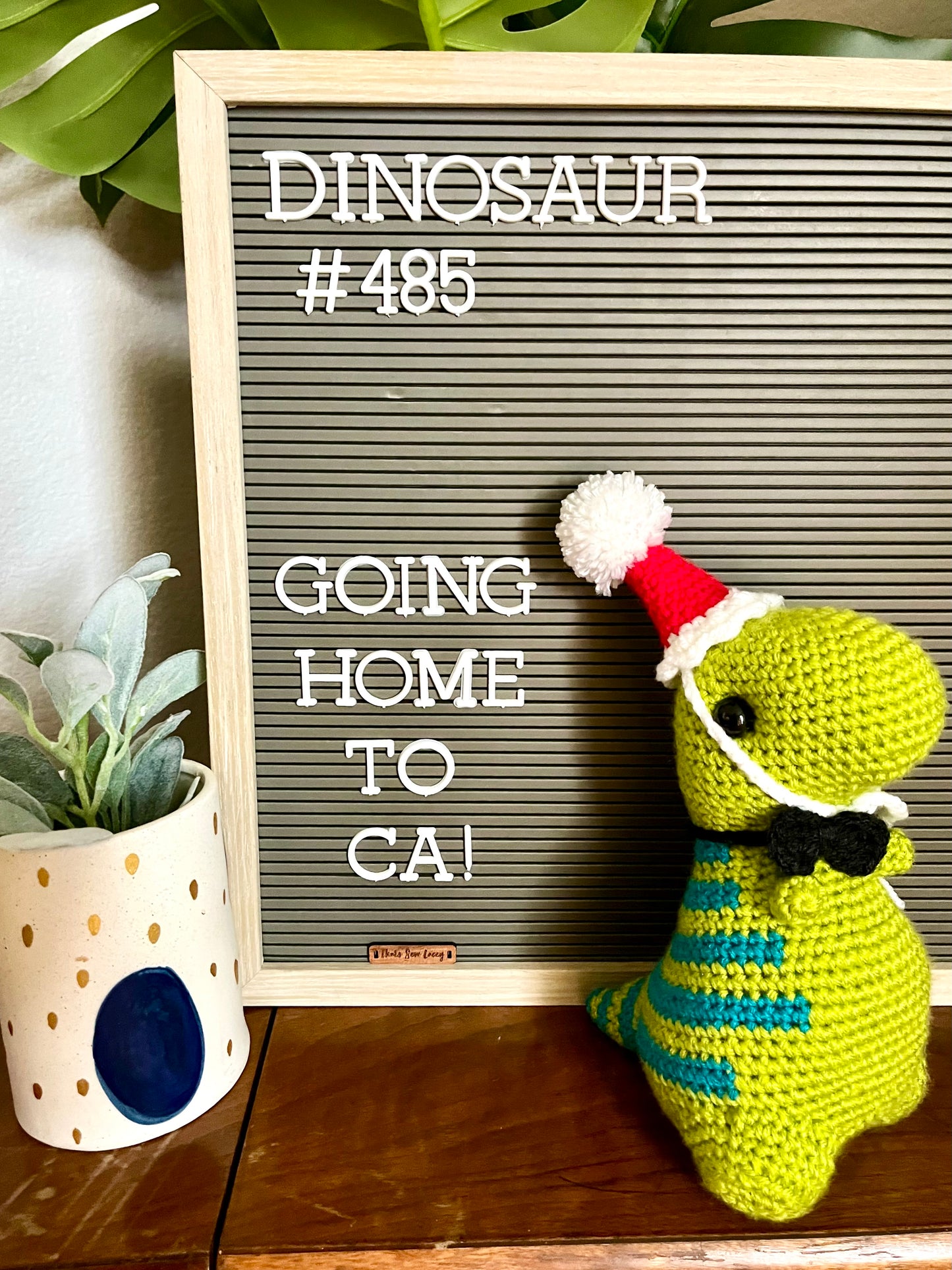 Green with Blue Stripes (Snacks) - Chubby Dinosaur