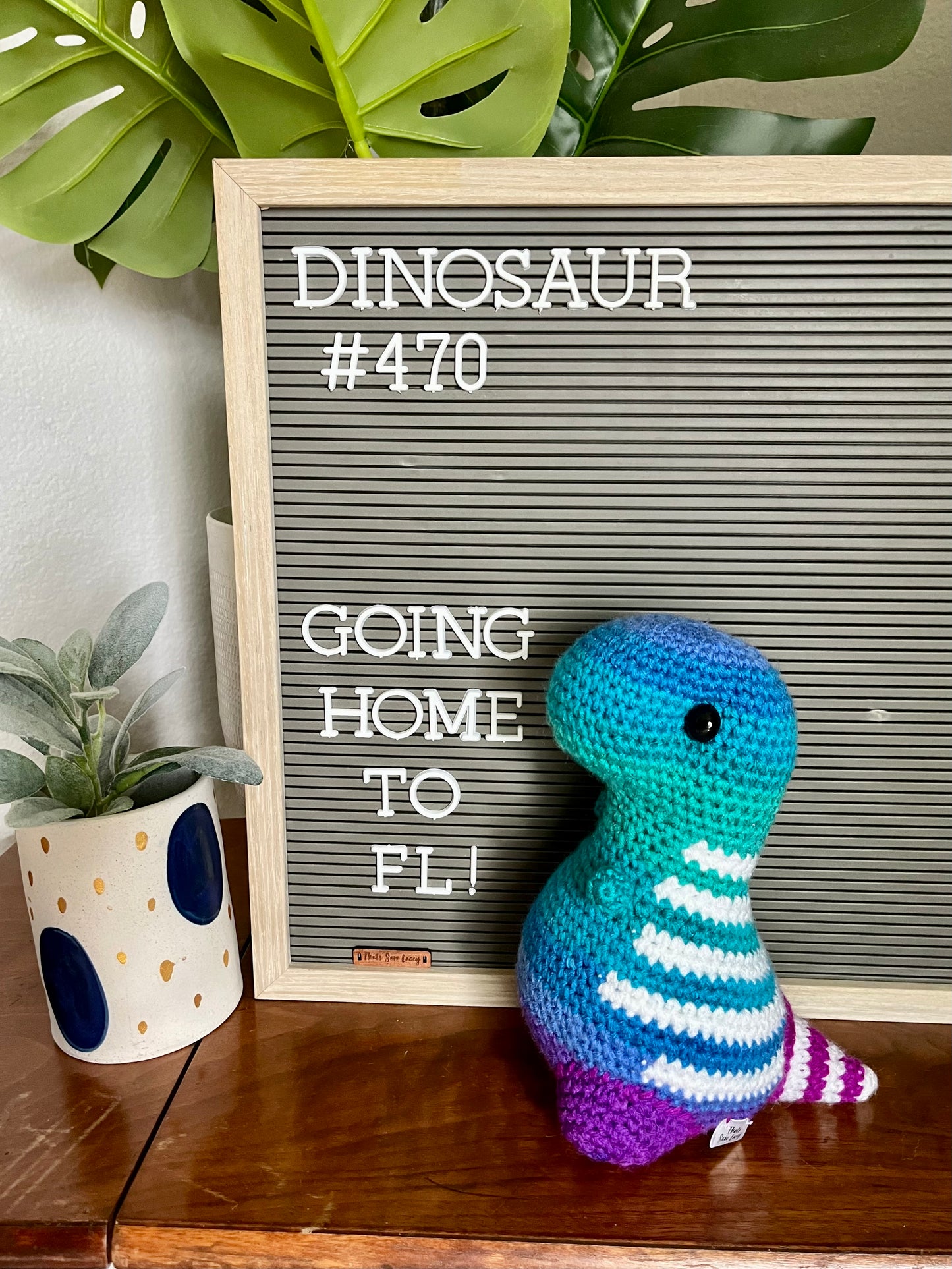 Polo Ombré - Chubby Dinosaur