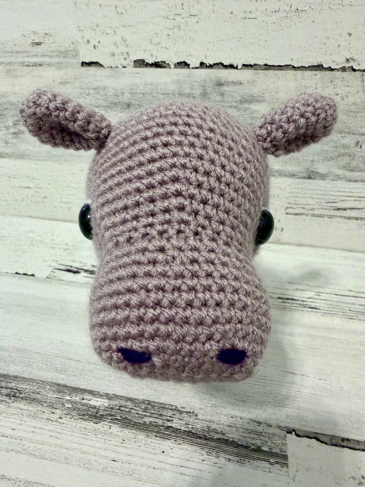 Hippo