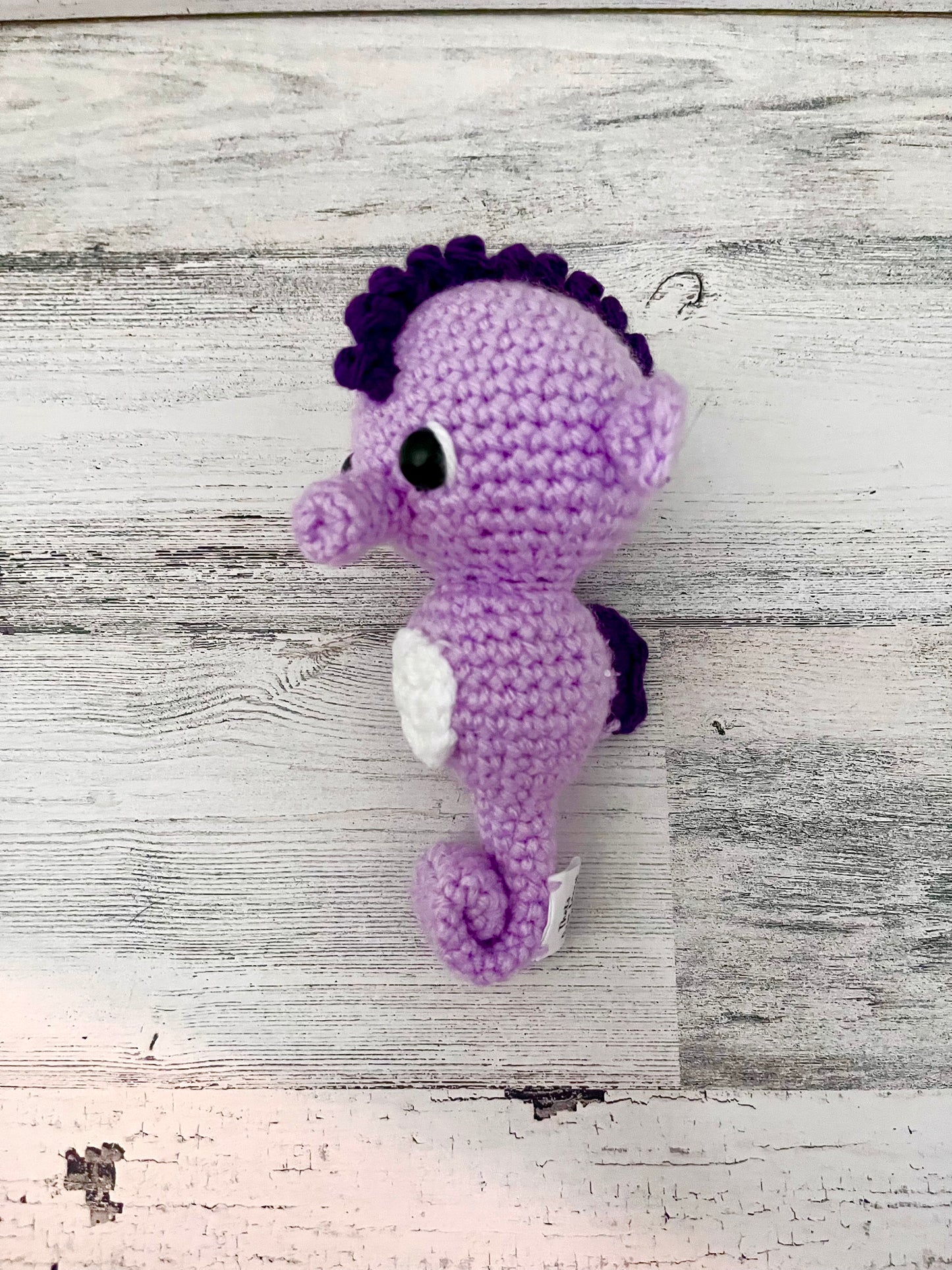 Tiny Seahorse