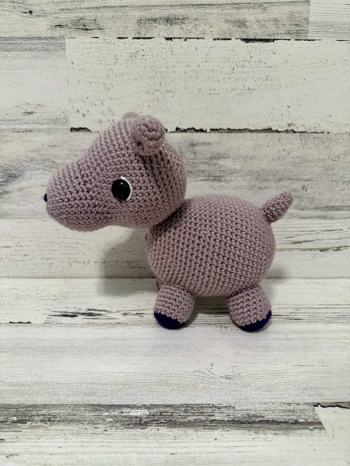 Hippo