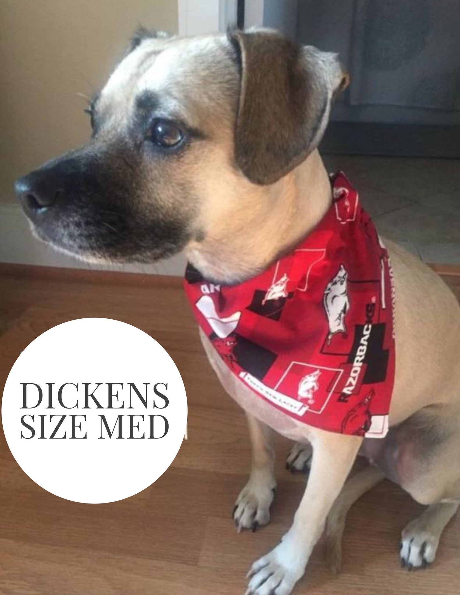 House divided dog bandana 2025